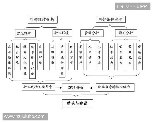 杭州羽毛球队战术解析与比赛策略的深度探讨与展望